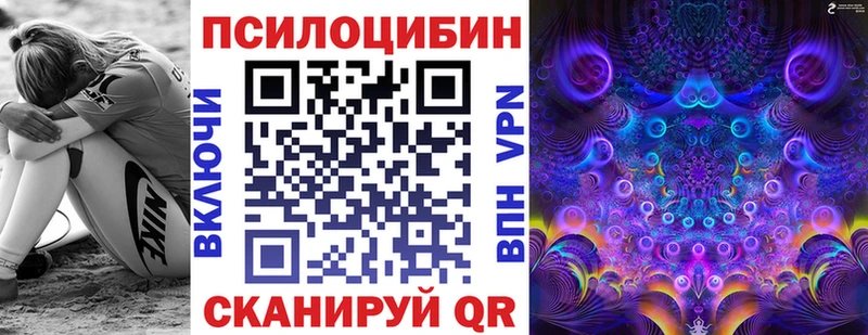 Купить закладки  Орехово-Зуево  Псилоцибиновые грибы прущие грибы 
