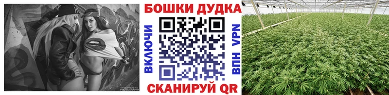 Конопля гибрид  Купить где  Орехово-Зуево 